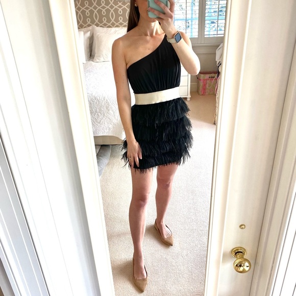 KARLIE Tuckernuck One Shoulder Tiered Black Feather Mini Dress Cocktail Party - Picture 3 of 12